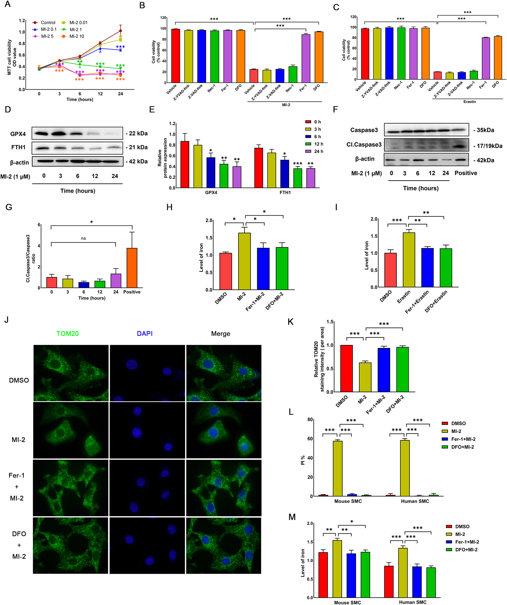 Pharmacological inhibition of malt mucosa