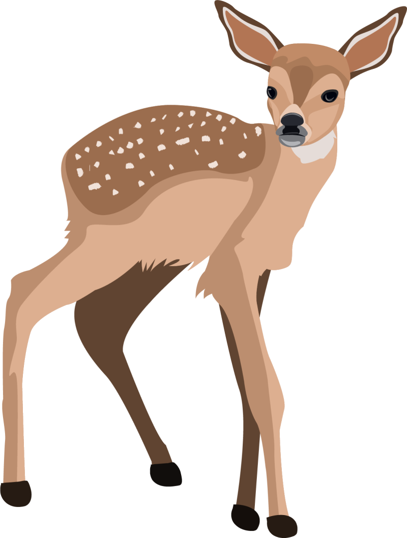 Cute deer clipart free download