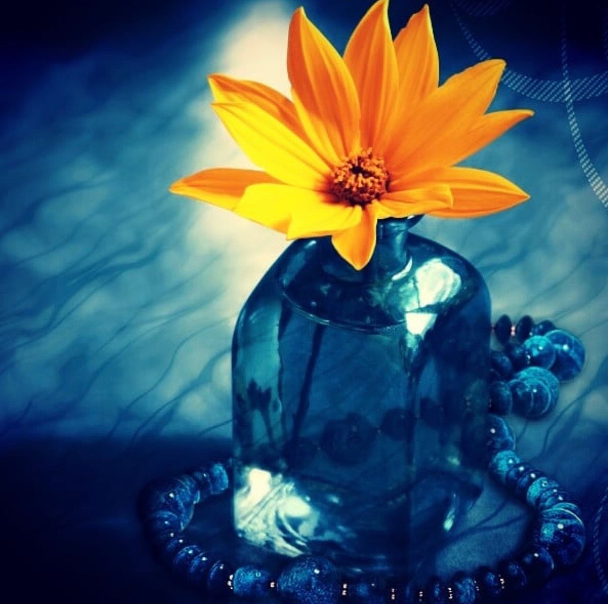 Har har mahadev flower wallpaper d desktop wallpaper abstract wallpaper