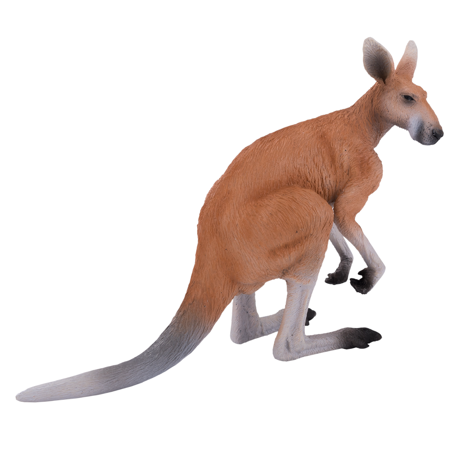 Mojo kangaroo australian wild animal model figure toys plastic forest jungle