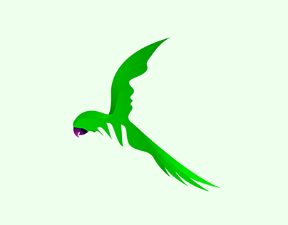 Bird logo projects photos videos logos illustrations and branding on