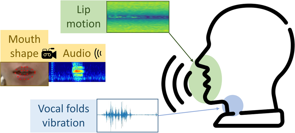 A prehensive multimodal dataset for contactless lip reading and acoustic analysis scientific data