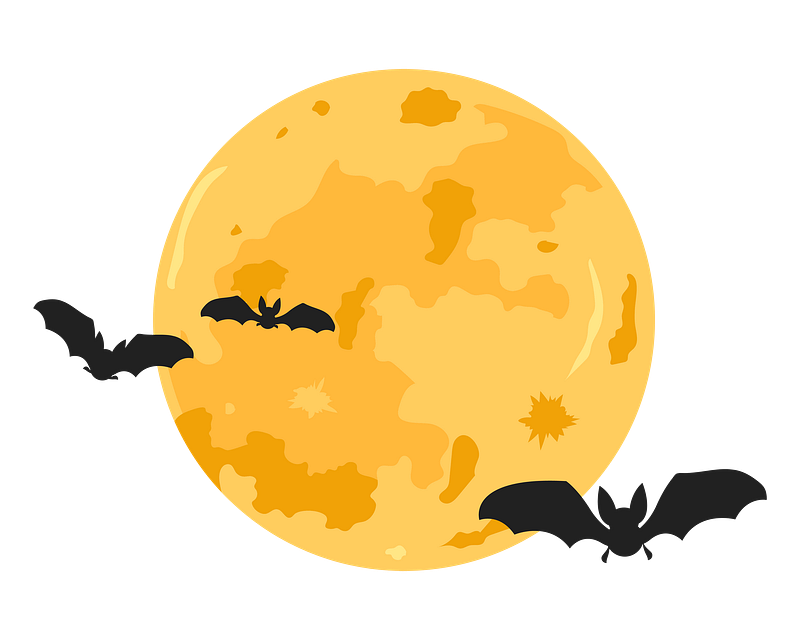 Halloween bats images free photos png stickers wallpapers backgrounds