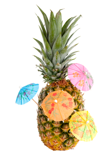 Pineapple png vector psd and clipart with transparent background for free download