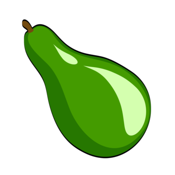 Avocado eps png transparent images free download vector files