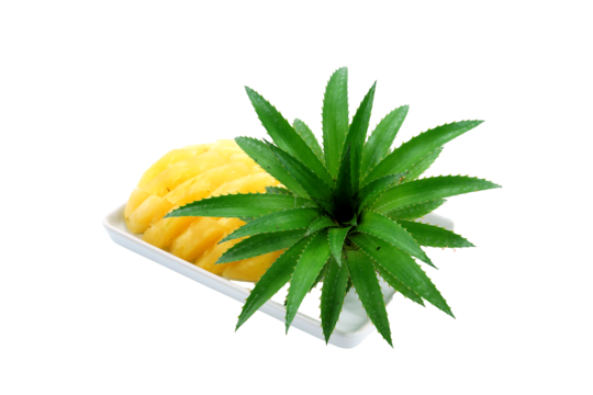 Pineapple slice png transparent images free download vector files