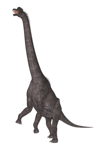 Brachiosaurus png transparent images free download vector files