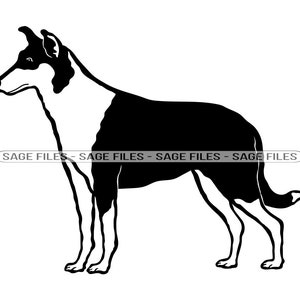 Smooth collie svg