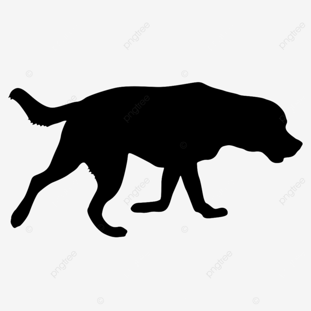 Labrador dog silhouette transparent background labrador dog silhouette on a white background illustration leash sleds png image for free download