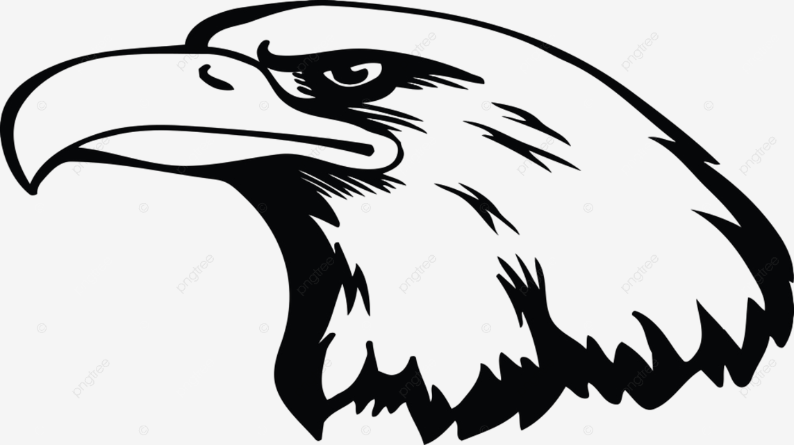 Eagle head vector hd png images eagle head vector illustration illustration vector bald png image for free download