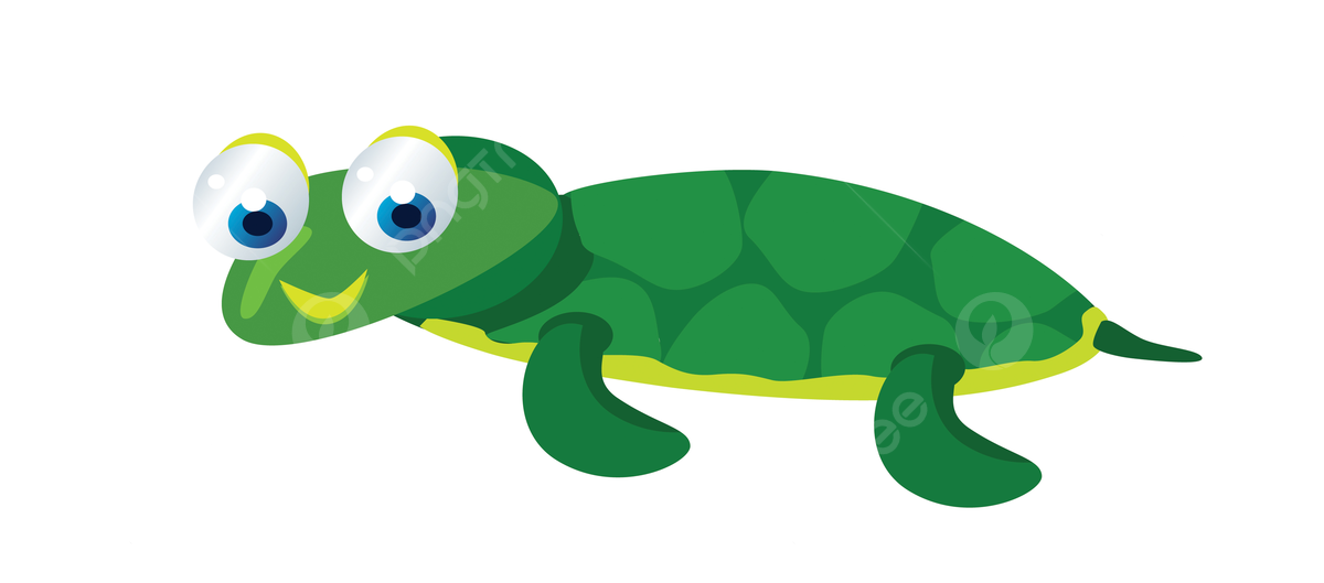 Baby turtle background images hd pictures and wallpaper for free download