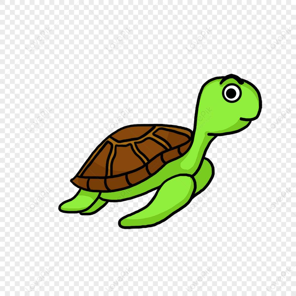 Cute turtle png images with transparent background free download on