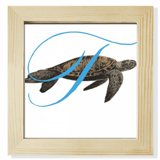 Turtle frame
