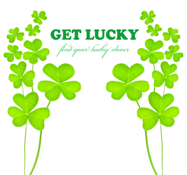 Clover frame png transparent images free download vector files