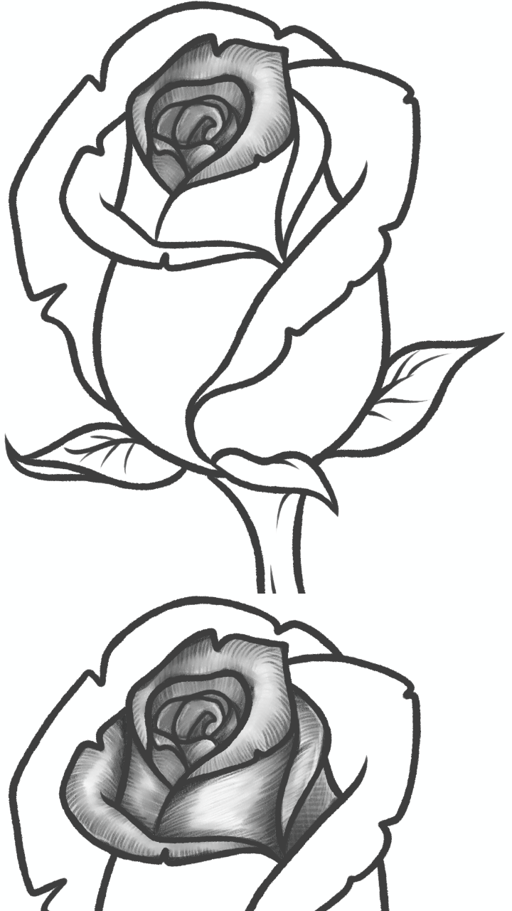 How to draw roses pro editionappstore for android