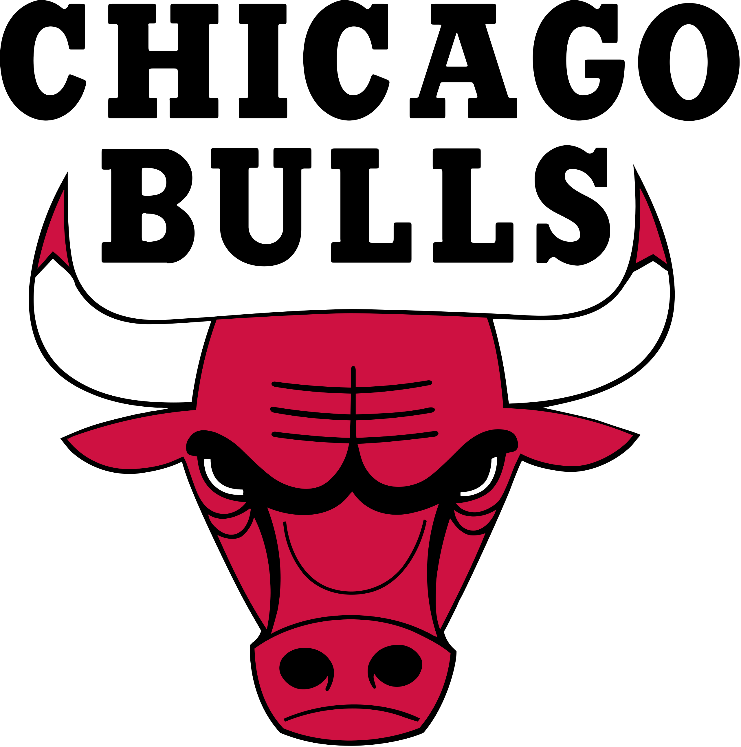 Chicago bulls â gameday products