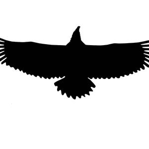 Eagle wings spread