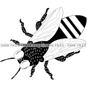 Fly flies clip art