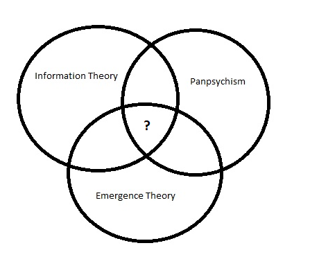 What are the criticisms of tononis integrated information theory