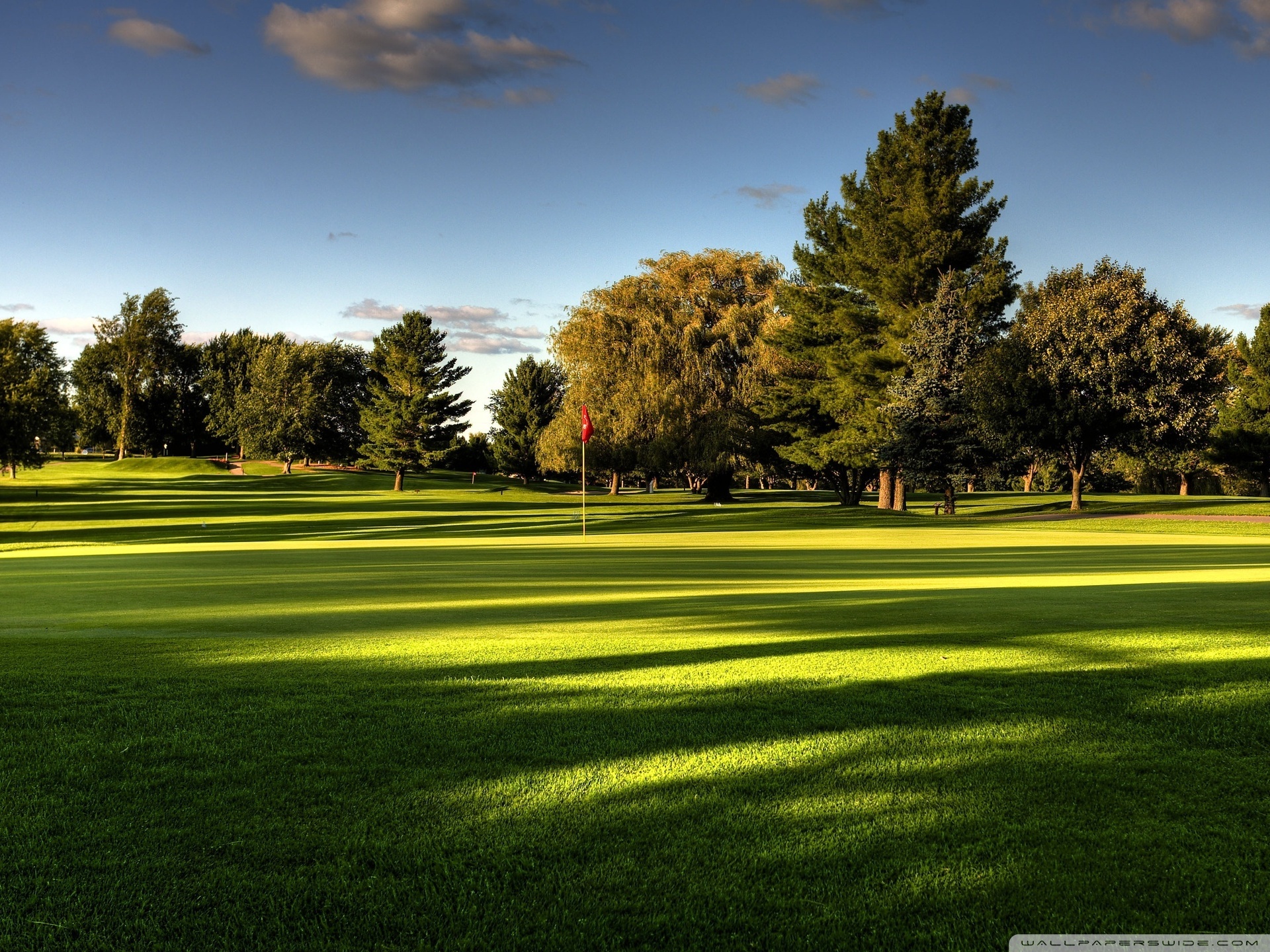 Golf field