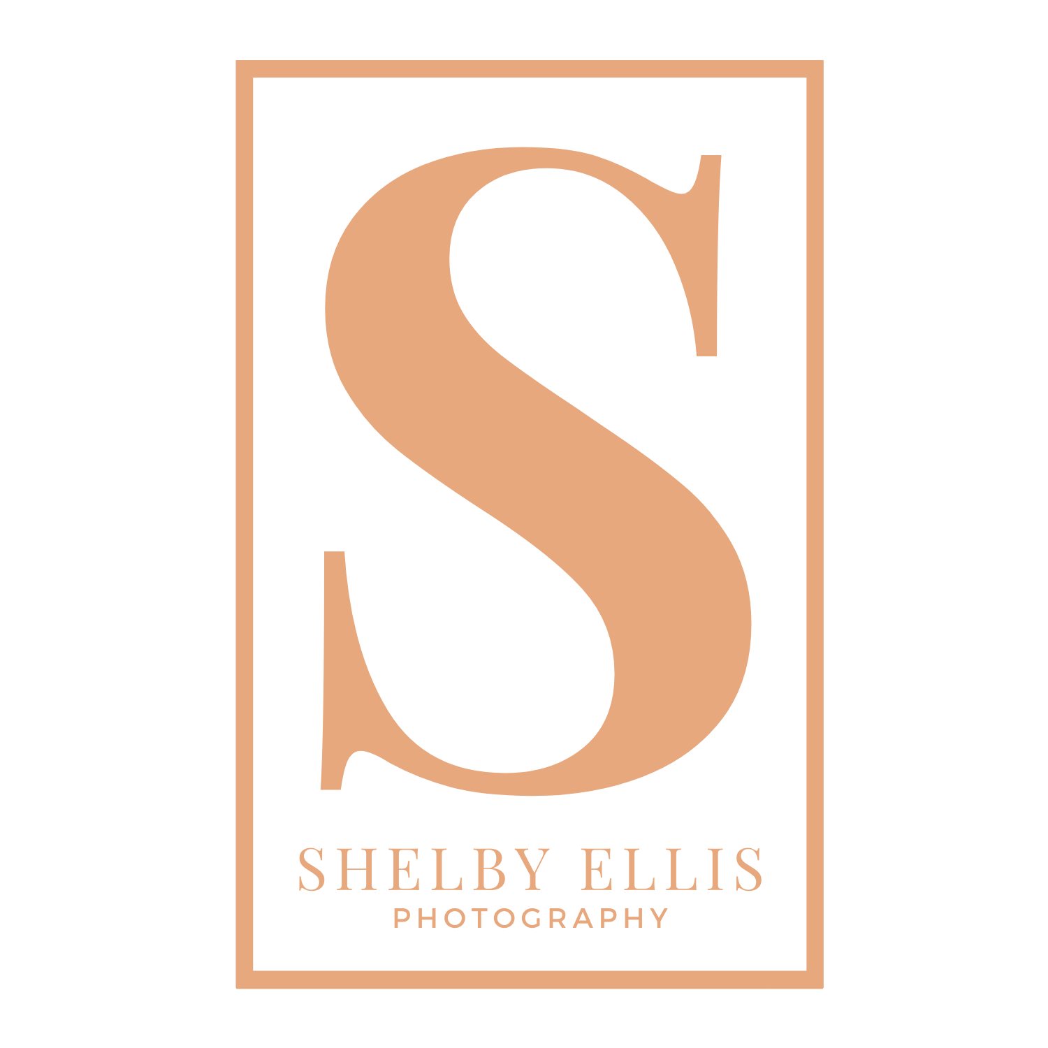 Pricing shelby ellis photography destination weddings