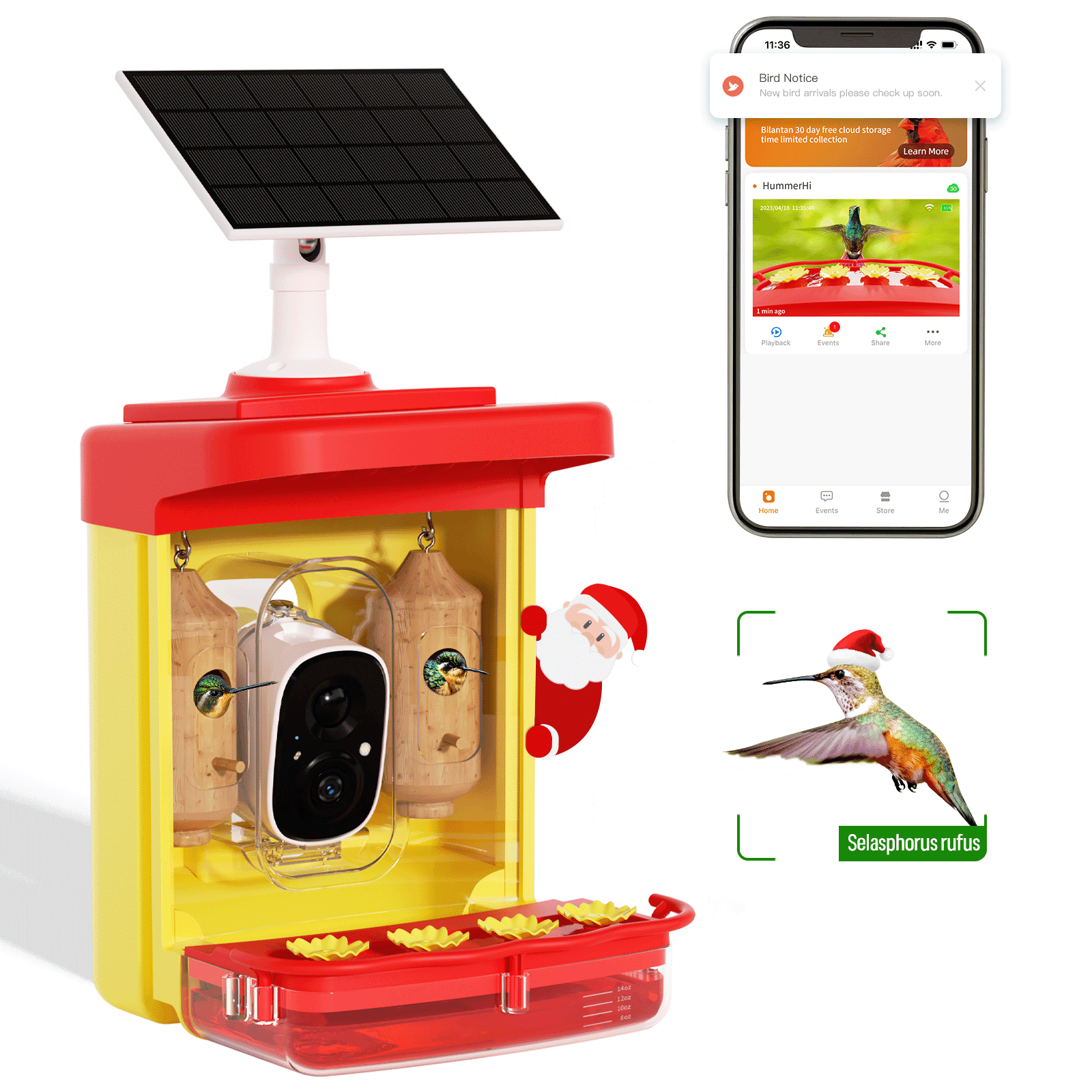 Hummingbird feeder with camera for outdoor hummingbird smart bird feeder camera auto