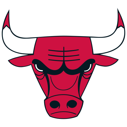 Chicago bulls team roster