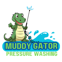 The best pressure washers near mount dora fl