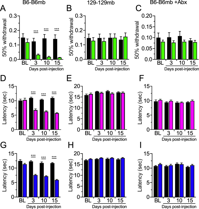 Dominant role of the gut microbiota in chemotherapy induced neuropathic pain scientific reports