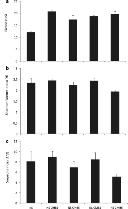 Effects of biochar on copper immobilization and soil microbial munities in a metal