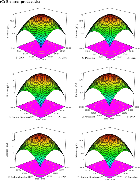 Modeling and dynamic design of an artificial culture medium for heterotrophic cultivation of tetradesmus obliquus rds for co sequestration and green biofuels production an eco