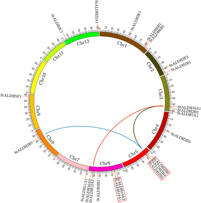 Genome