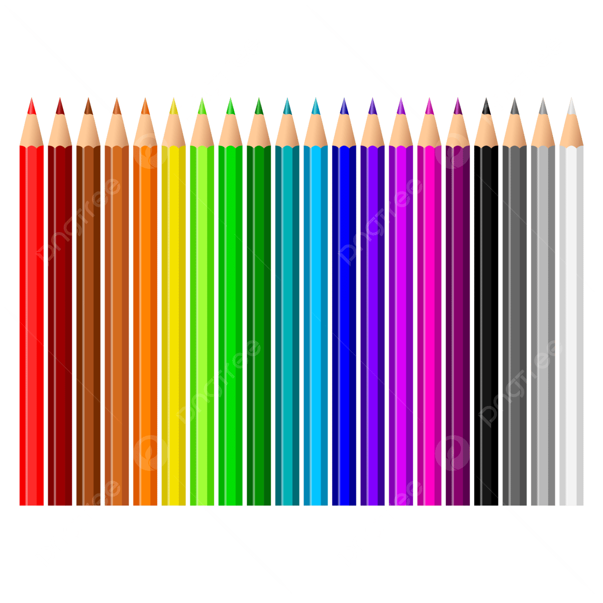 Colored pencils with colorful vector colored pencils coloring pencils drawing tools png and vector with transparent background for free download