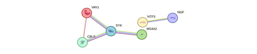 Msa gene