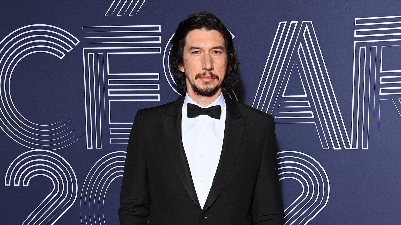 Adam Driver Wallpapers Top Free Adam Driver Backgrounds