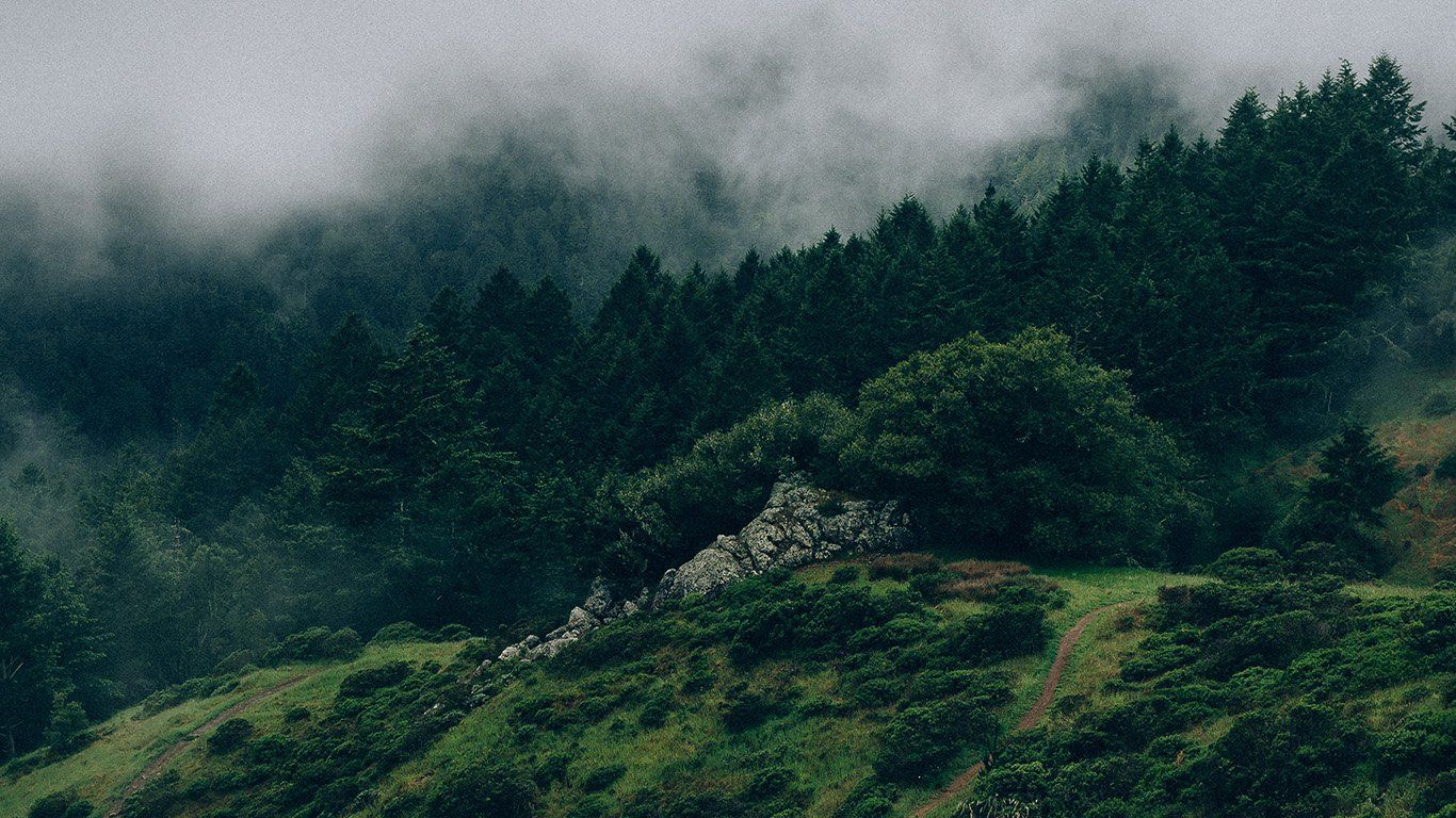 Aesthetic nature desktop wallpapers