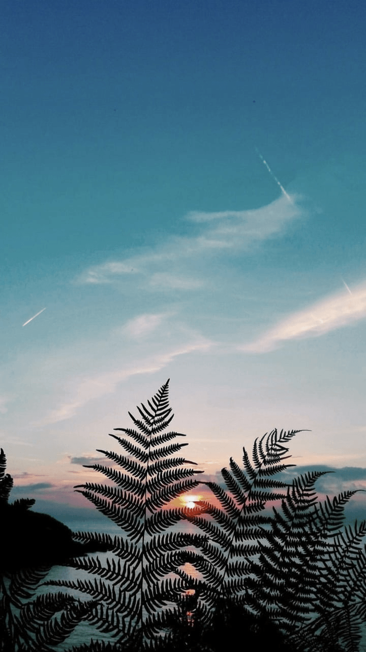 Aesthetic nature tumblr wallpapers background beautiful best available for download aesthetic nature tumblr photos free on images