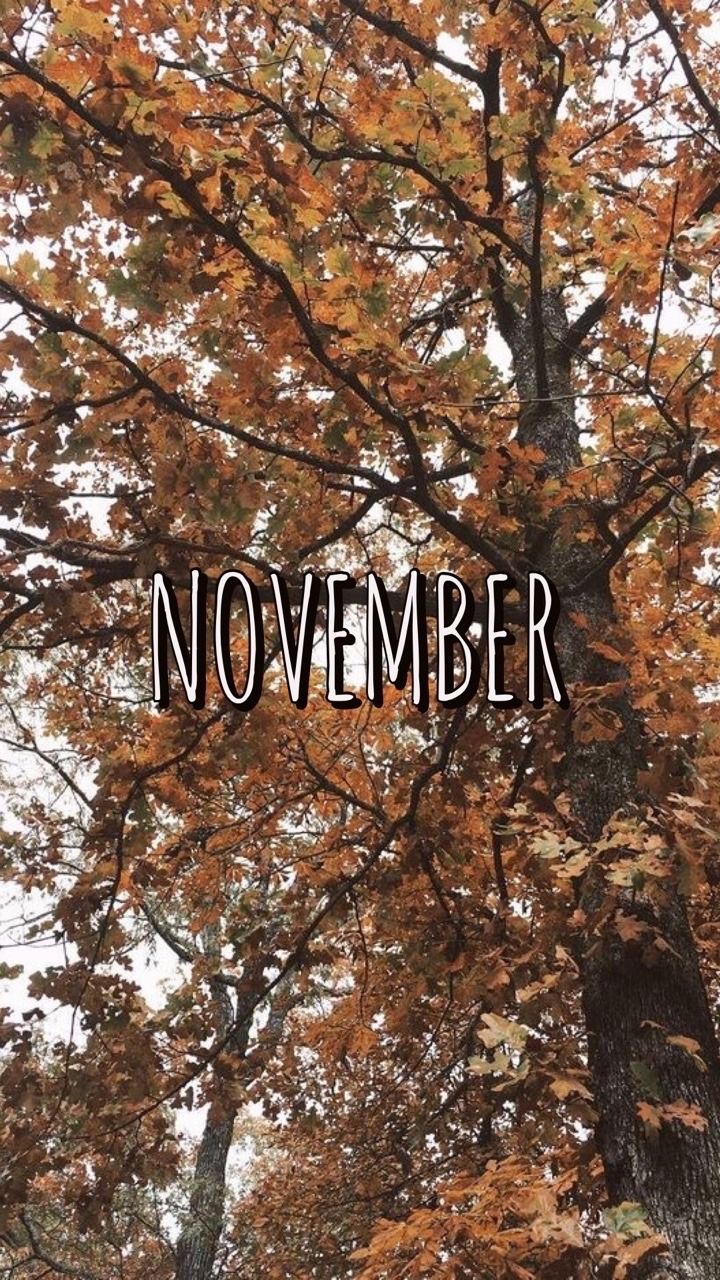 November aesthetic wallpapers