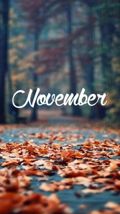 Best november ideas in november months in a year hello november