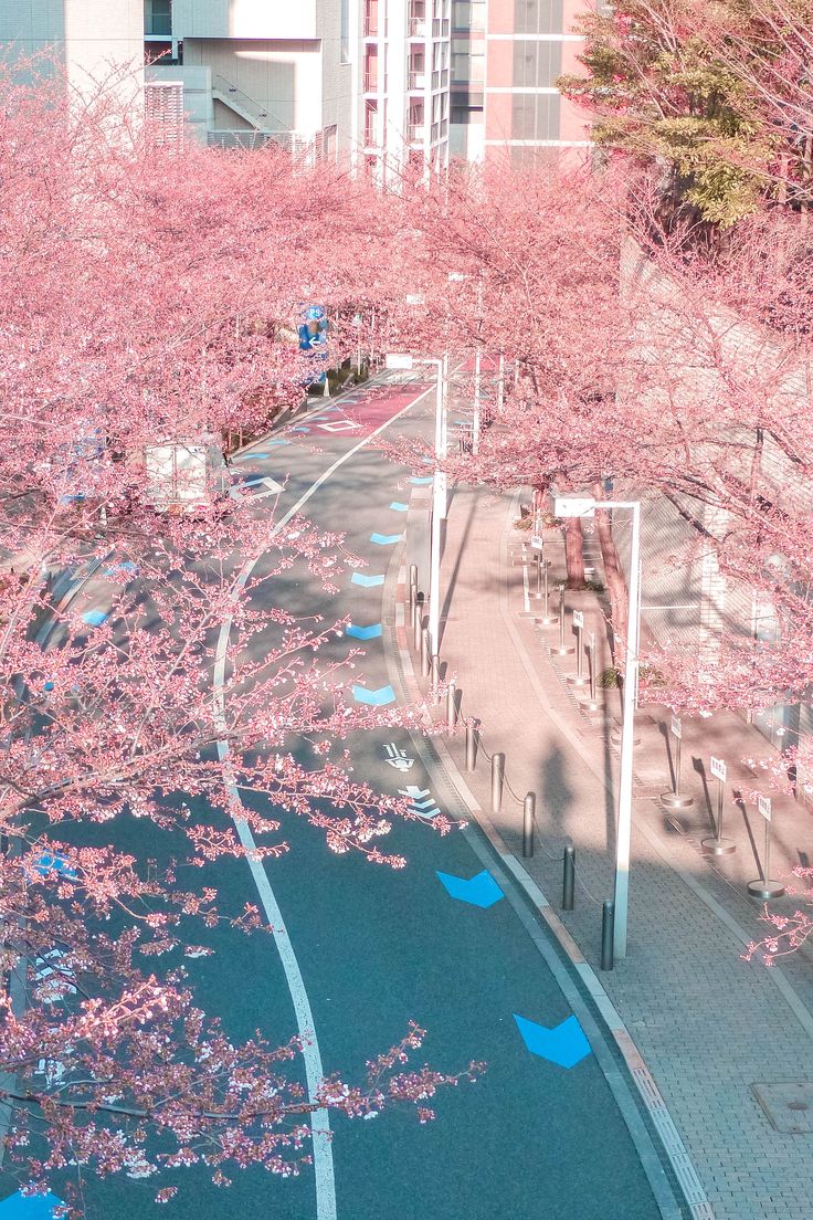 Best places to see cherry blossoms in tokyo free guide scenery wallpaper anime scenery wallpaper aesthetic backgrounds