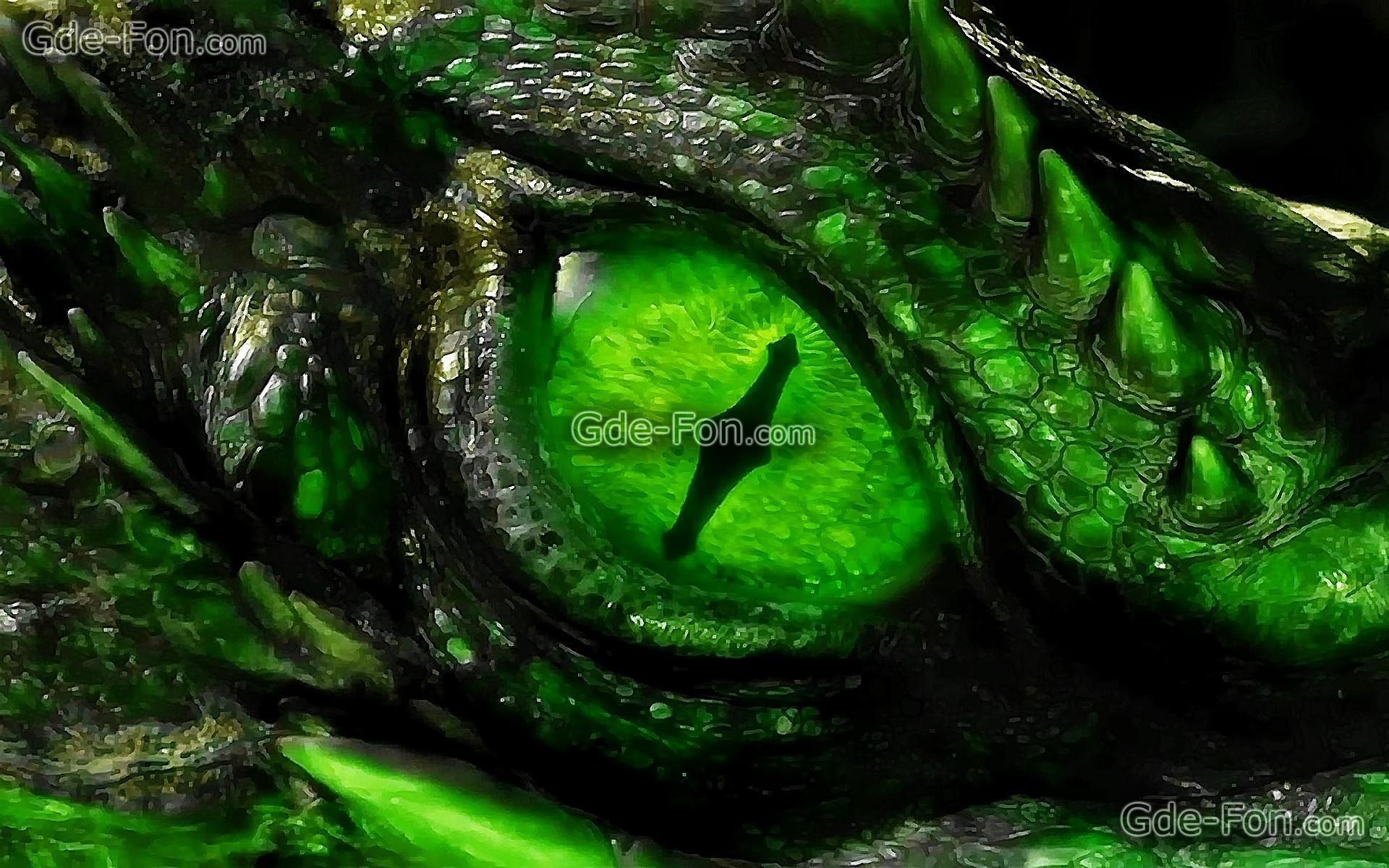 Green dragon eye wallpapers