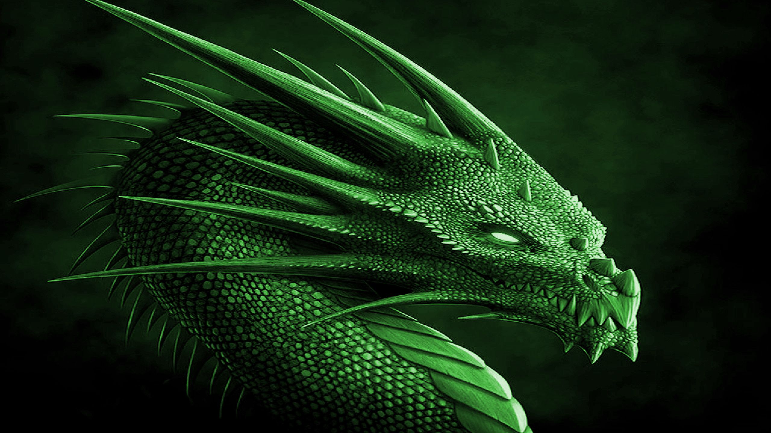 X green dragon ã k hd desktop wallpaper for â tablet â smartphone cool wallpapers dragon android wallpaper black green dragon