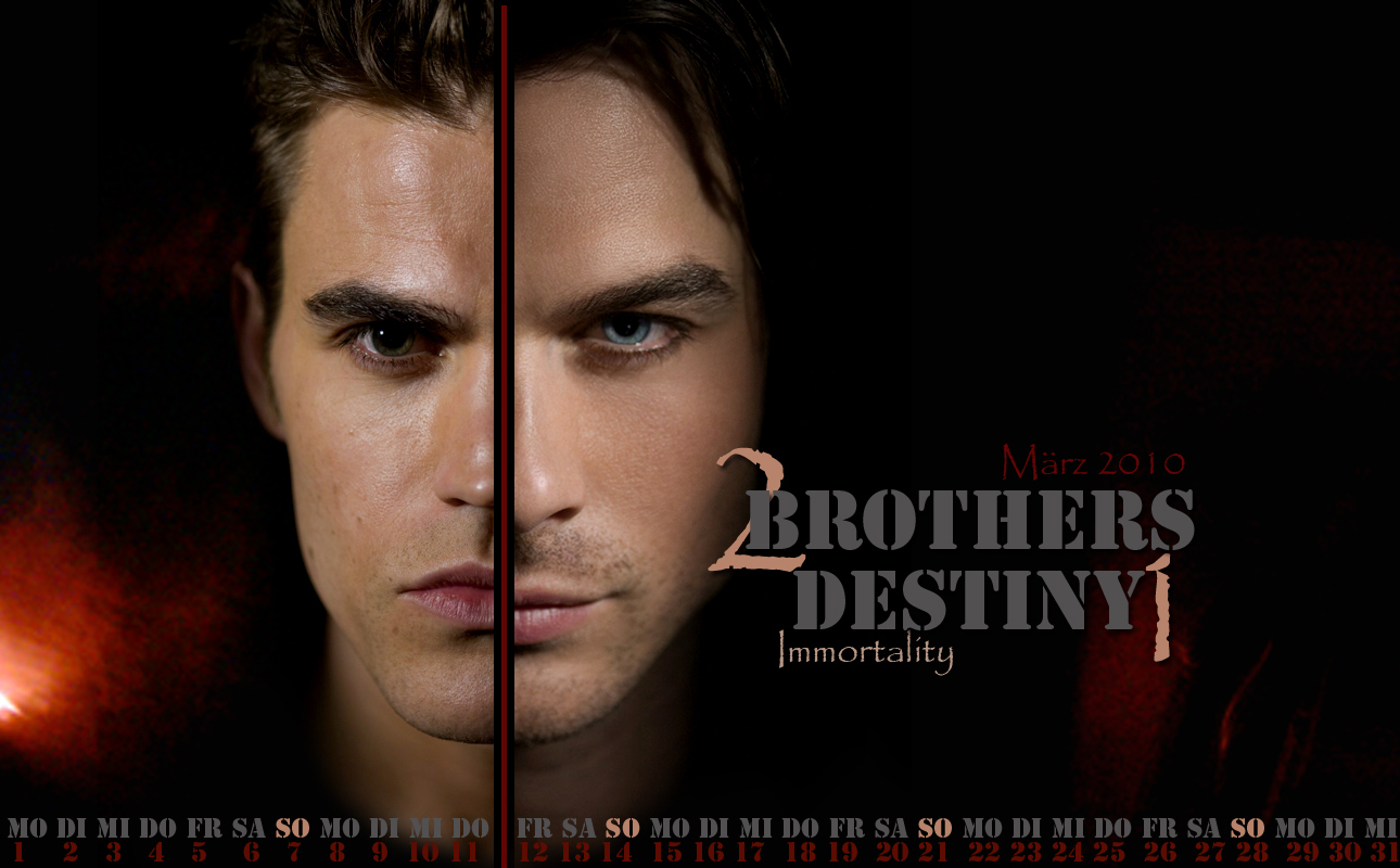 stefan salvatore y damon salvatore fondo de pantalla