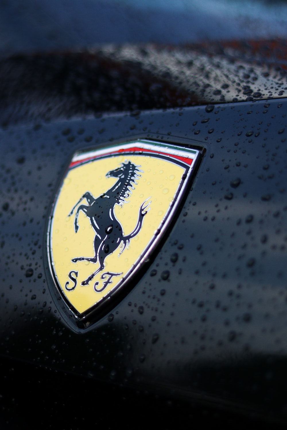 Ferrari logo pictures download free images on