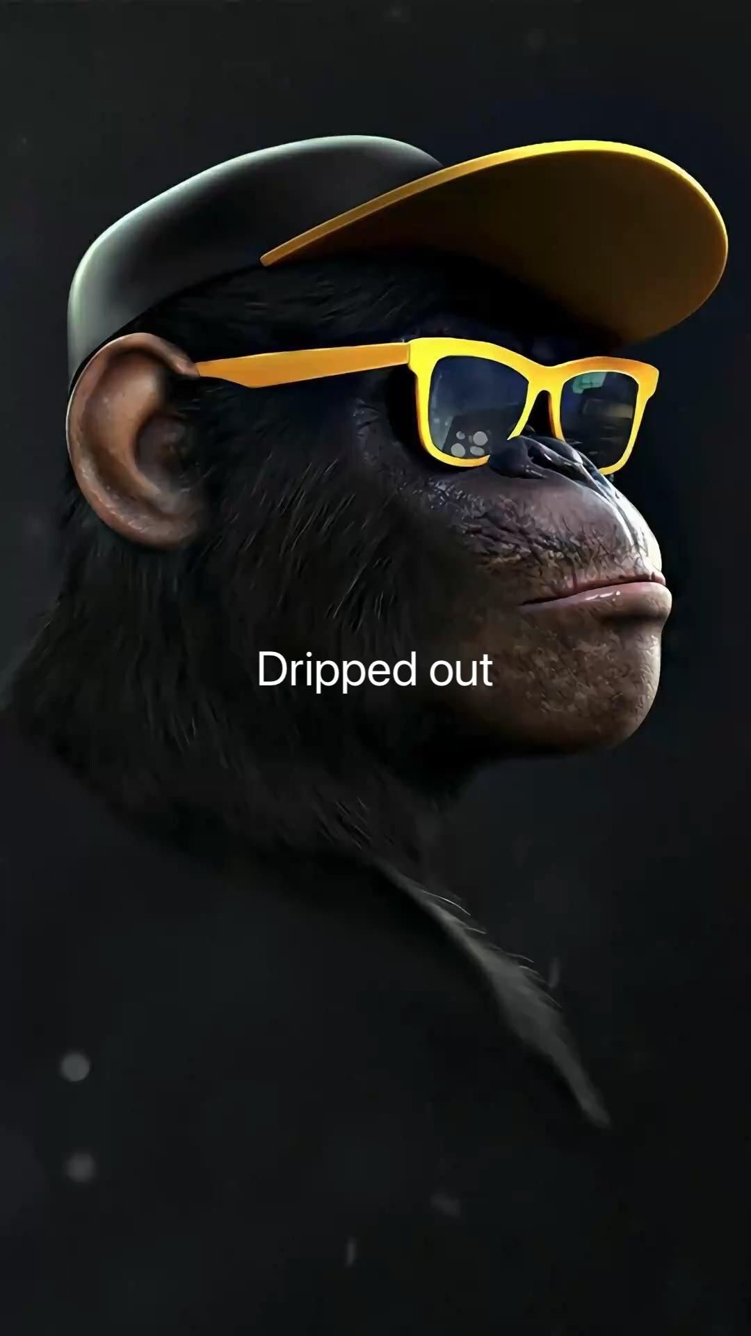 Funny Monkey Poster Wallpapers