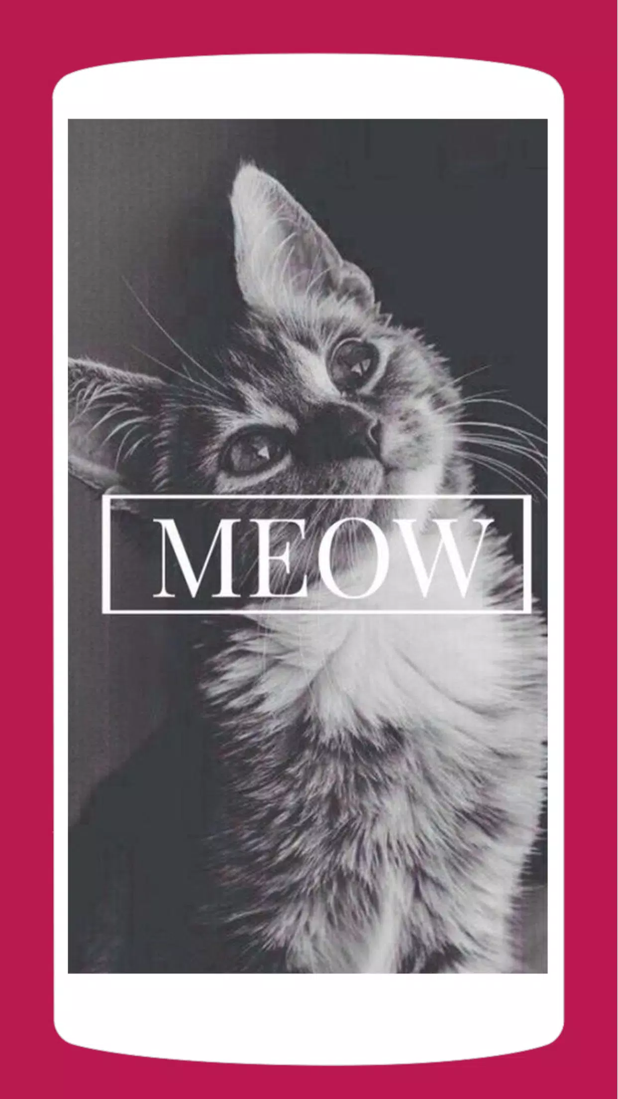 Meow (baby pink) Enjoy.. ♥ | Classy wallpaper, Cat wallpaper, Wallpaper