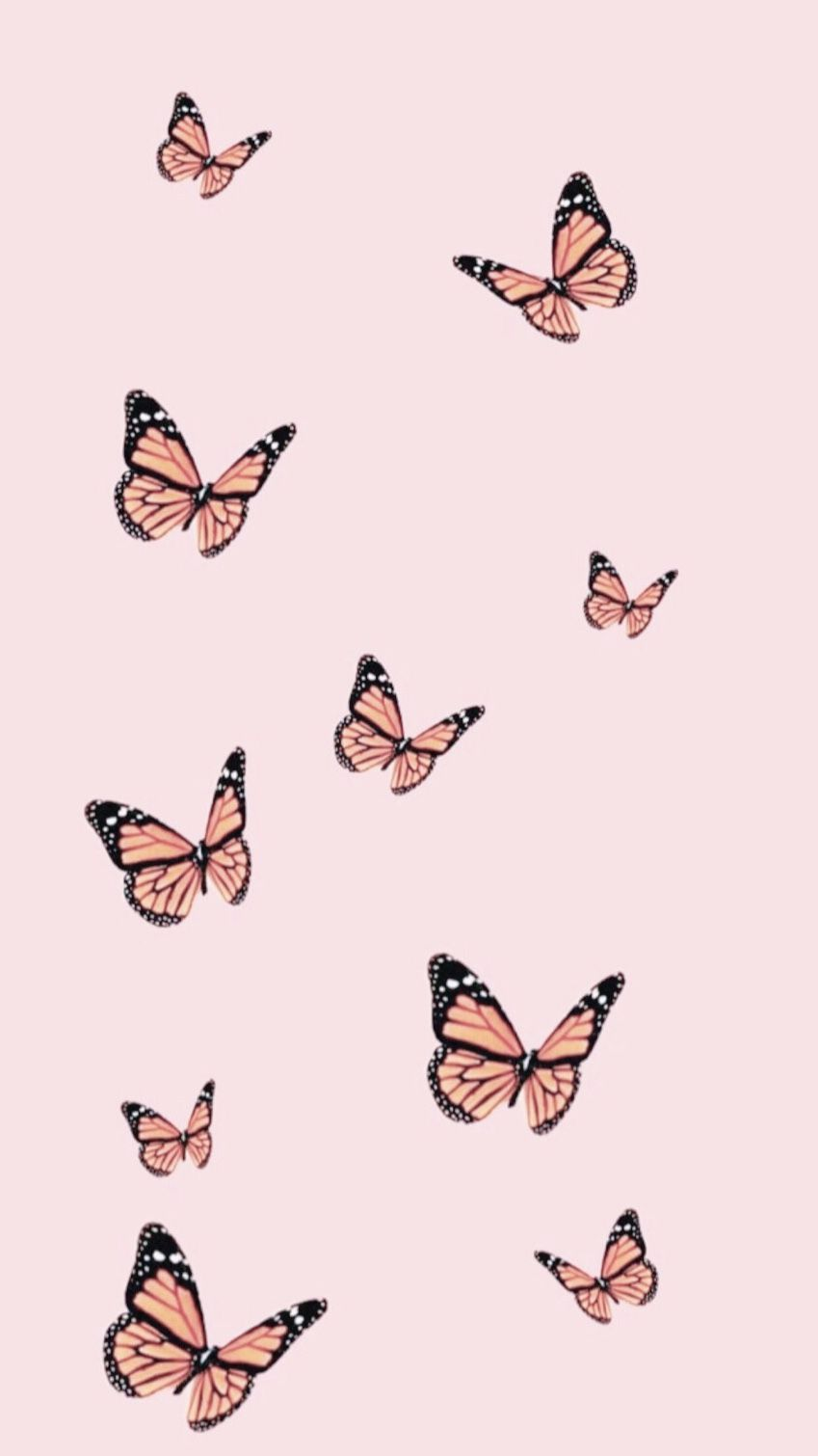 Pretty Butterfly Wallpaper (30 + Background Pictures)