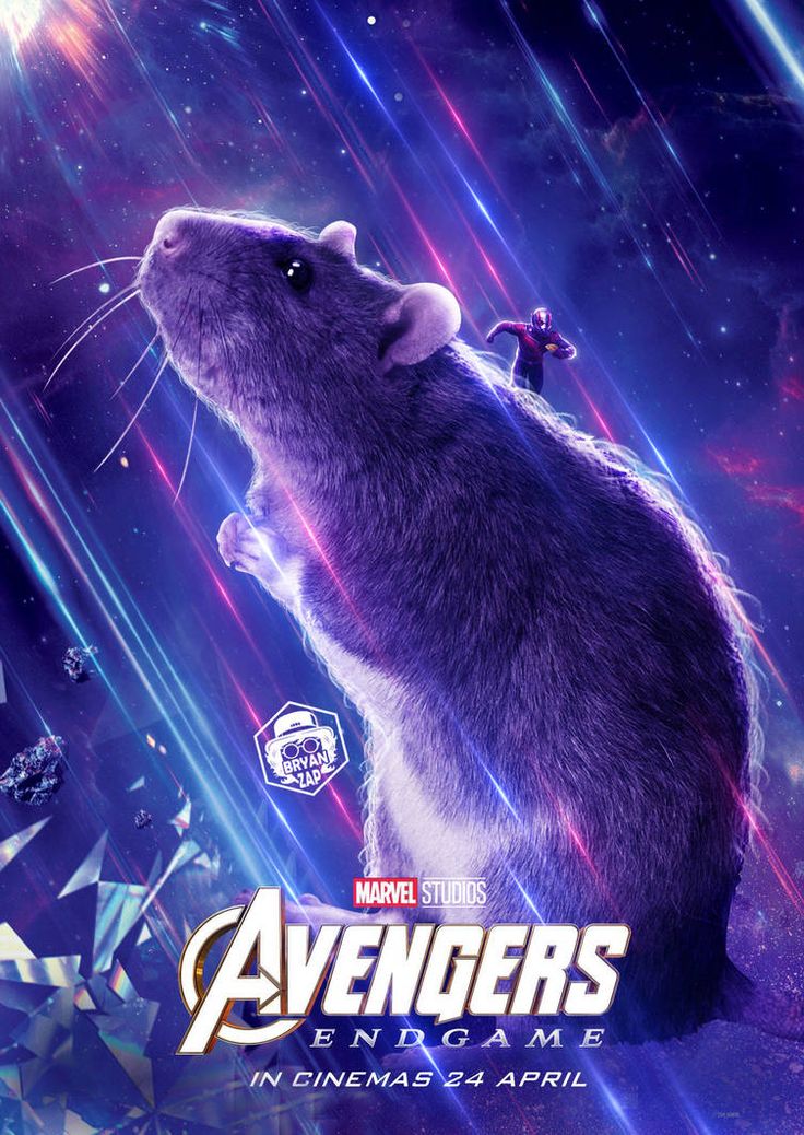 Avengers rat poster by bryanzap on viantart avengers superhero comic rats