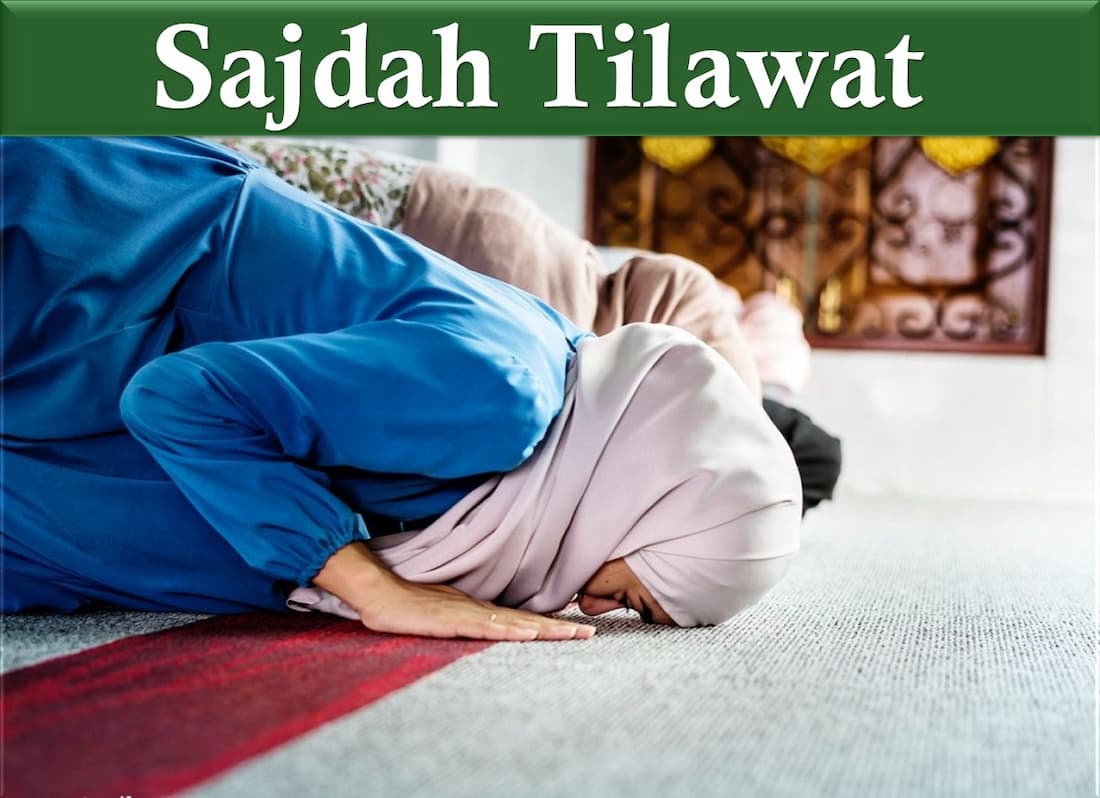 Write a detail about sajdah tilawat in quran