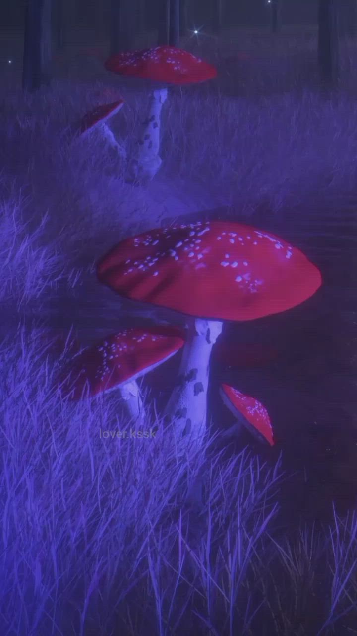 Ai eu amei tiktok loverkssk fairy wallpaper mushroom wallpaper hippie wallpaper